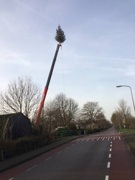 Daily Pictures. Part 1 (64 pics)