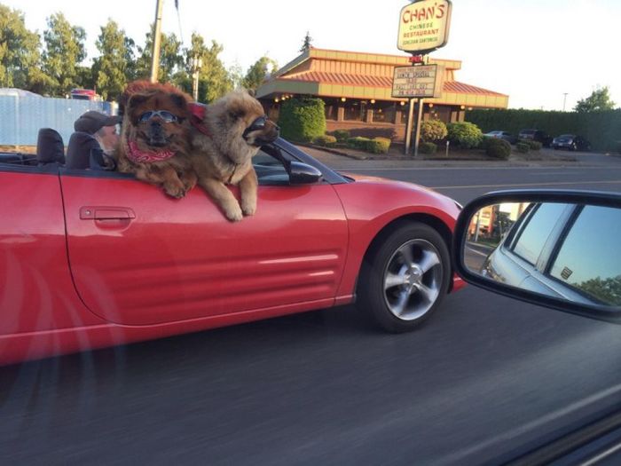 Daily Pictures. Part 1 (64 pics)