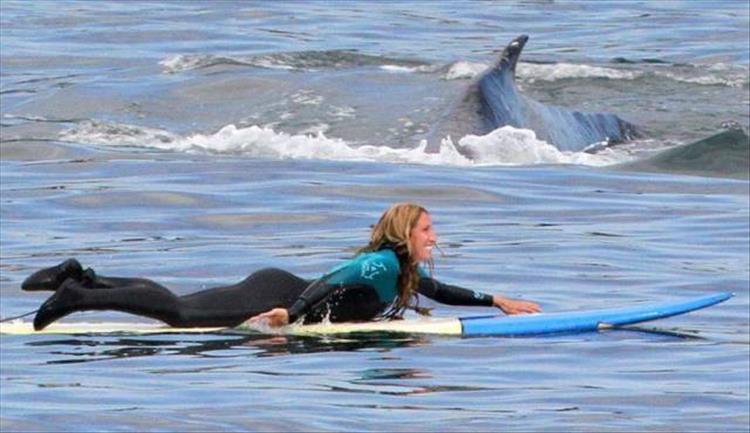 Daily Pictures. Part 2 (63 pics) Daily Pictures. Part 2 (63 pics)