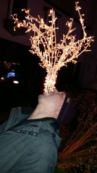 Daily Pictures. Part 1 (64 pics)