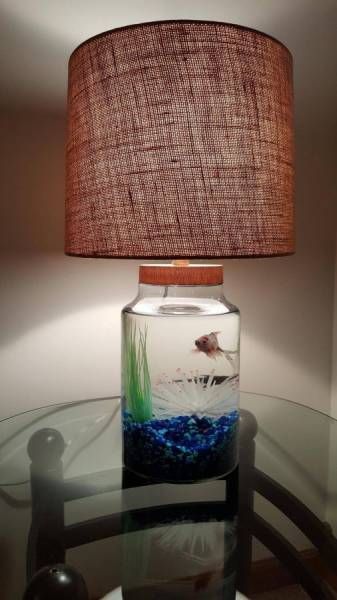 Daily Pictures. Part 1 (64 pics)