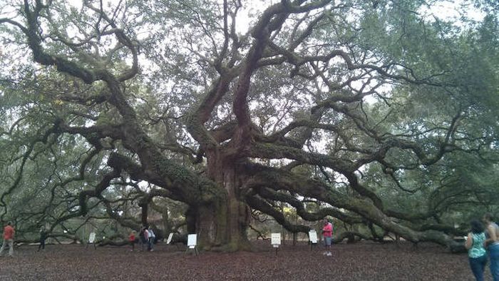 Daily Pictures. Part 1 (64 pics)