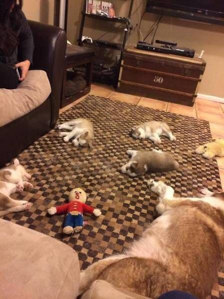 Daily Pictures. Part 1 (64 pics)