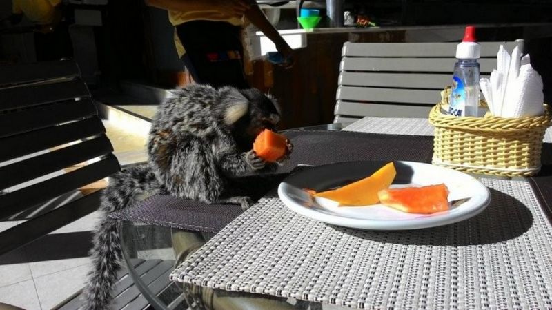 Daily Pictures. Part 2 (63 pics) Daily Pictures. Part 2 (63 pics)