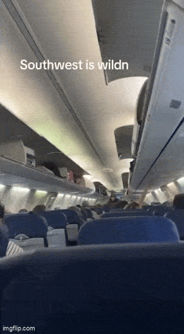 Acid GIFs, February 11 (25 gifs)