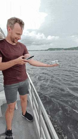 Acid GIFs, February 11 (25 gifs)