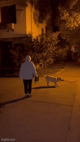 Acid GIFs, February 11 (25 gifs)