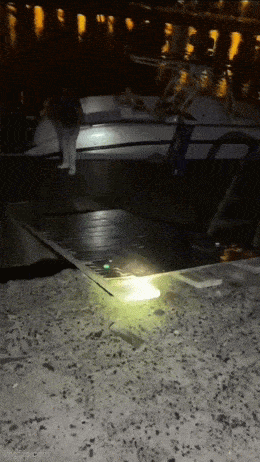 Acid GIFs, February 11 (25 gifs)