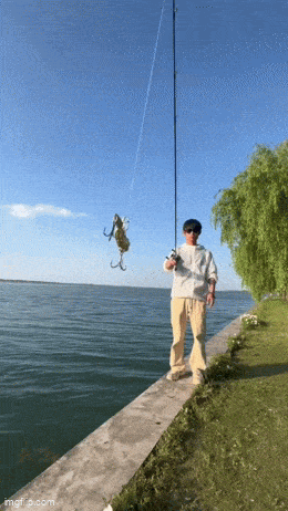 Acid GIFs, February 11 (25 gifs)