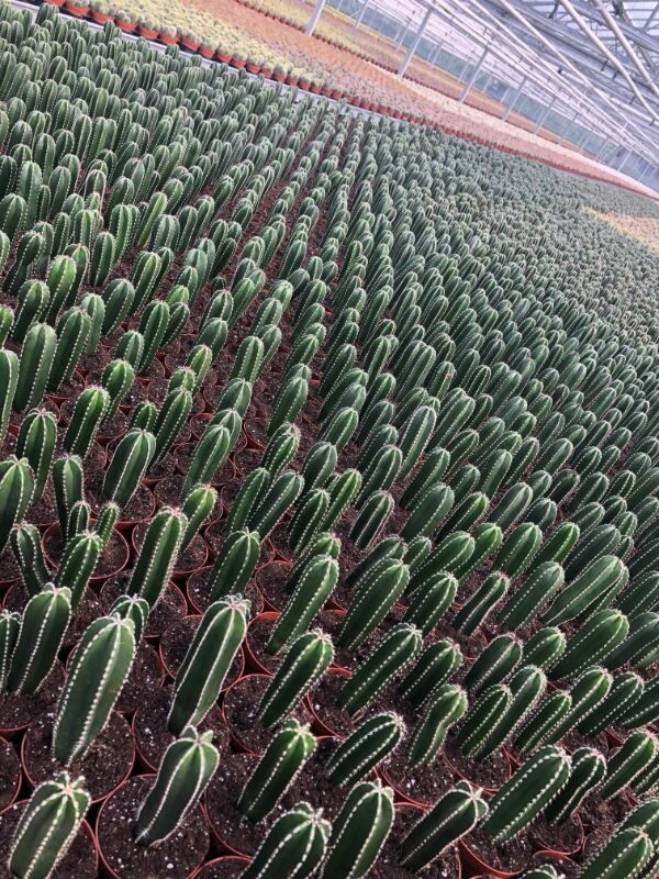 Photos For Perfectionists (23 pics) Photos For Perfectionists (23 pics)