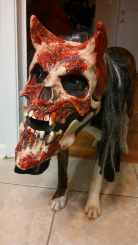 Daily Pictures. Part 1 (67 pics) Daily Pictures. Part 1 (67 pics)