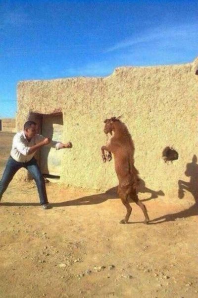 Daily Pictures. Part 1 (67 pics) Daily Pictures. Part 1 (67 pics)