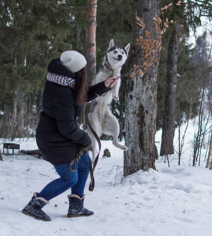 Daily Pictures. Part 1 (67 pics) Daily Pictures. Part 1 (67 pics)