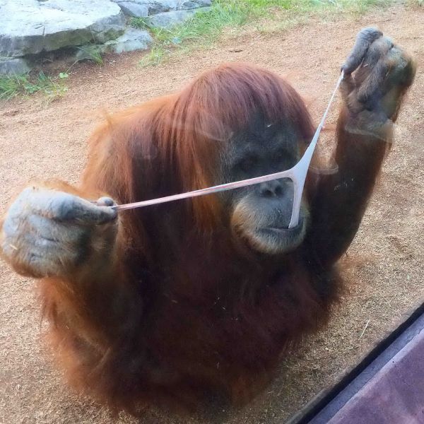 Daily Pictures. Part 1 (67 pics) Daily Pictures. Part 1 (67 pics)