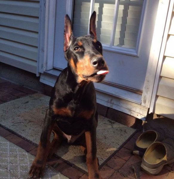 Daily Pictures. Part 1 (67 pics) Daily Pictures. Part 1 (67 pics)