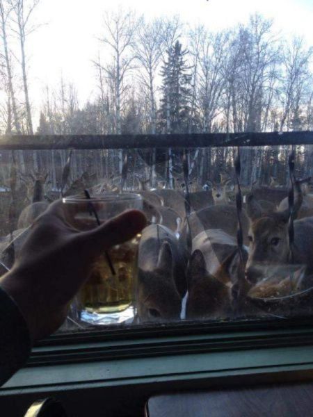 Daily Pictures. Part 1 (67 pics) Daily Pictures. Part 1 (67 pics)