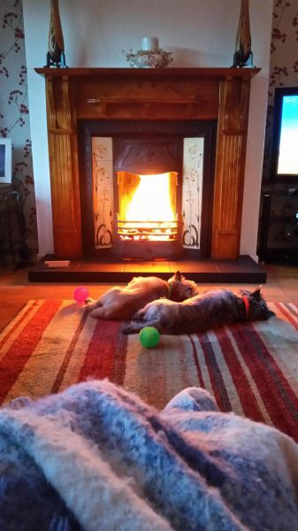 Daily Pictures. Part 1 (67 pics) Daily Pictures. Part 1 (67 pics)