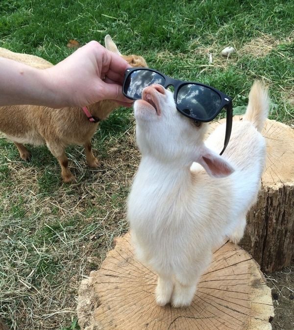 Daily Pictures. Part 1 (67 pics) Daily Pictures. Part 1 (67 pics)