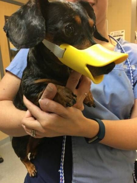 Daily Pictures. Part 1 (67 pics) Daily Pictures. Part 1 (67 pics)