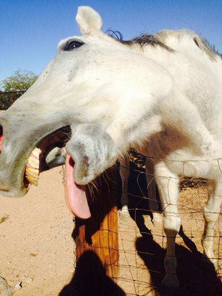 Daily Pictures. Part 1 (67 pics) Daily Pictures. Part 1 (67 pics)