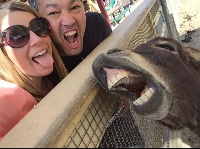 Daily Pictures. Part 2 (65 pics) Daily Pictures. Part 2 (65 pics)