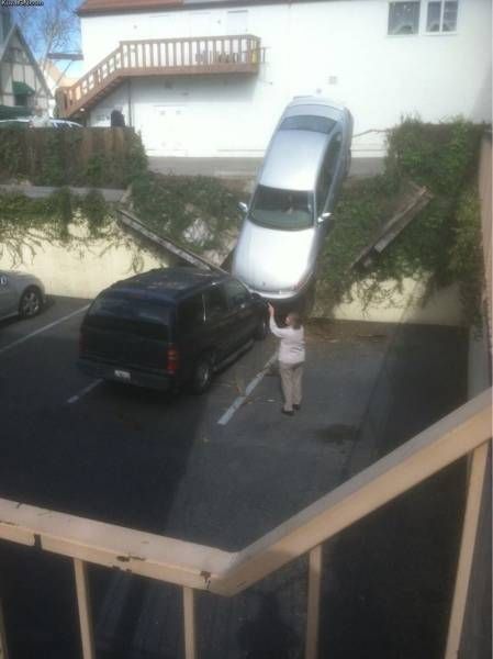 Daily Pictures. Part 1 (67 pics) Daily Pictures. Part 1 (67 pics)