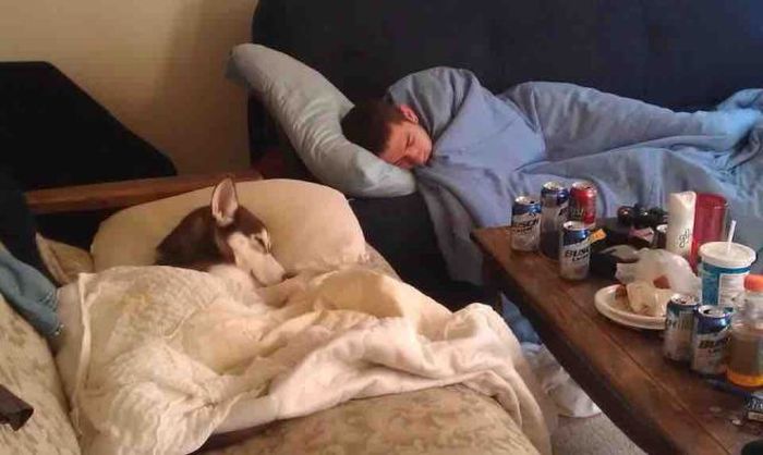 Daily Pictures. Part 1 (67 pics) Daily Pictures. Part 1 (67 pics)