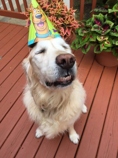 Daily Pictures. Part 1 (67 pics) Daily Pictures. Part 1 (67 pics)