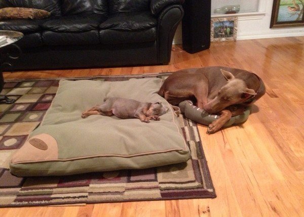 Daily Pictures. Part 2 (65 pics) Daily Pictures. Part 2 (65 pics)