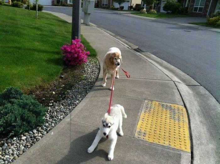 Daily Pictures. Part 1 (67 pics) Daily Pictures. Part 1 (67 pics)