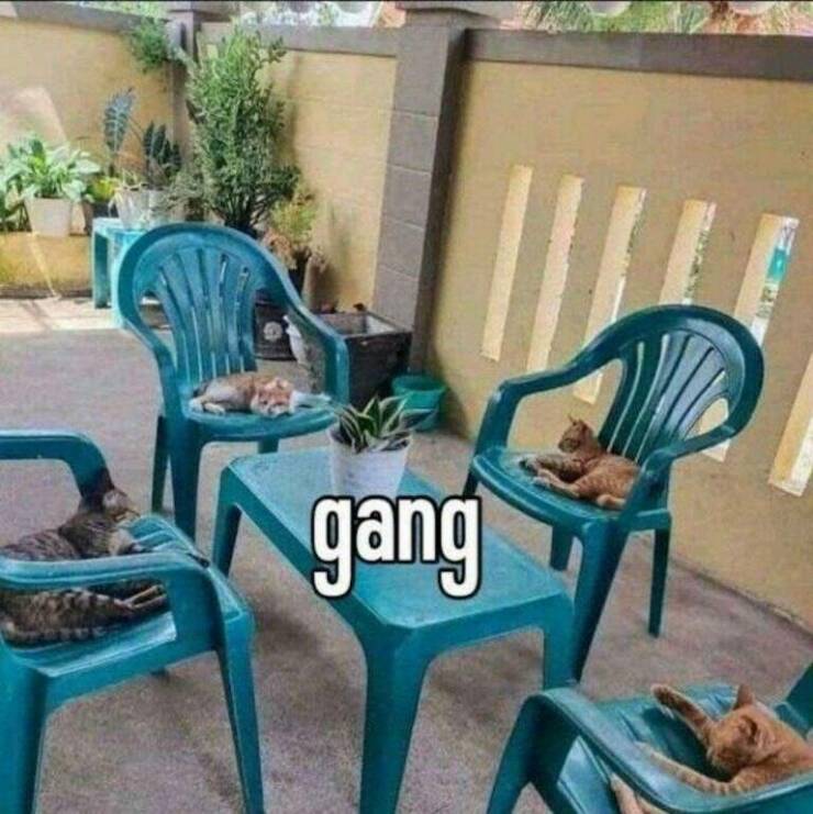 Daily Pictures. Part 2 (65 pics) Daily Pictures. Part 2 (65 pics)