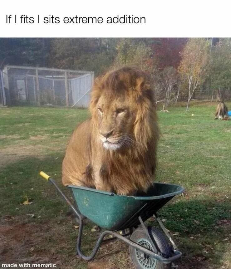 Daily Pictures. Part 2 (65 pics) Daily Pictures. Part 2 (65 pics)