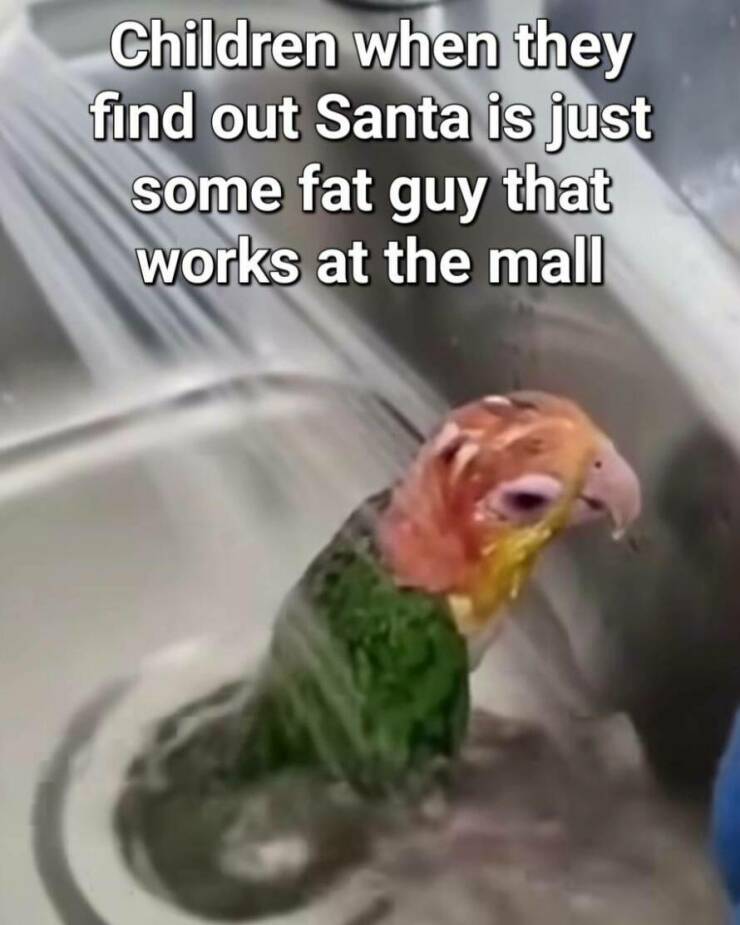 Daily Pictures. Part 2 (65 pics) Daily Pictures. Part 2 (65 pics)