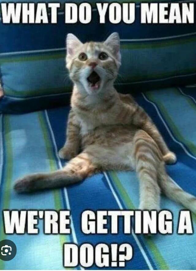 Daily Pictures. Part 2 (65 pics) Daily Pictures. Part 2 (65 pics)