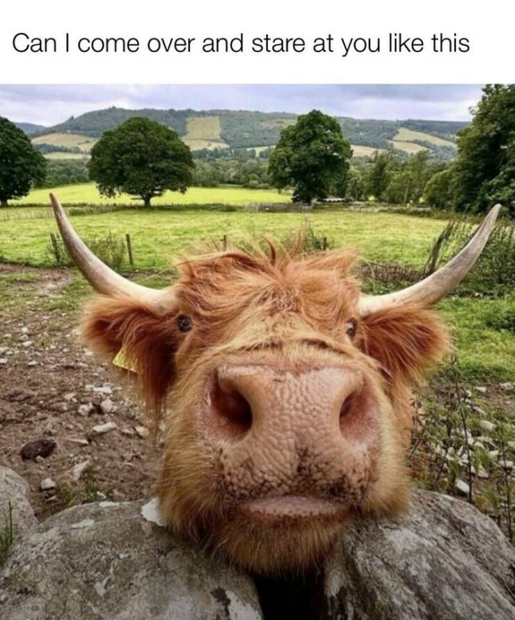 Daily Pictures. Part 2 (65 pics) Daily Pictures. Part 2 (65 pics)