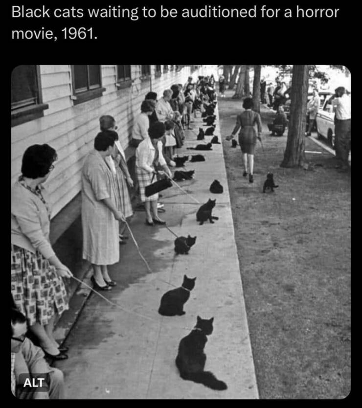 Daily Pictures. Part 2 (65 pics) Daily Pictures. Part 2 (65 pics)