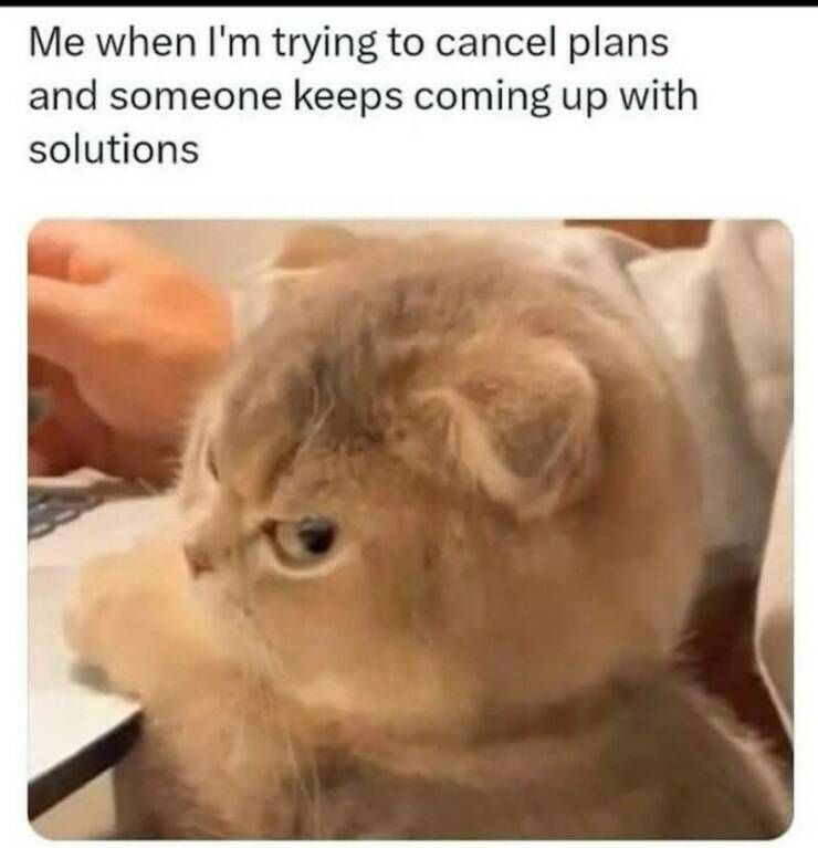 Daily Pictures. Part 2 (65 pics) Daily Pictures. Part 2 (65 pics)