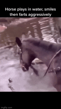 Acid GIFs, February 12 (25 gifs) Acid GIFs, February 12 (25 gifs)