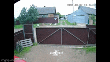 Acid GIFs, February 12 (25 gifs) Acid GIFs, February 12 (25 gifs)