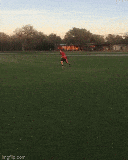 Acid GIFs, February 12 (25 gifs) Acid GIFs, February 12 (25 gifs)