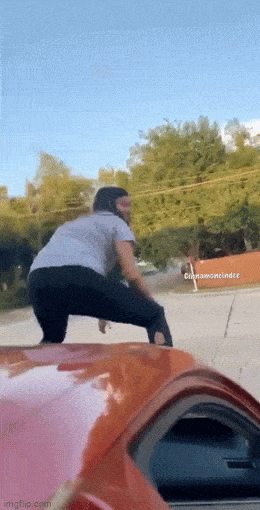 Acid GIFs, February 12 (25 gifs) Acid GIFs, February 12 (25 gifs)