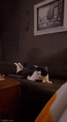 Acid GIFs, February 12 (25 gifs) Acid GIFs, February 12 (25 gifs)