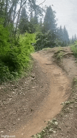 Acid GIFs, February 12 (25 gifs) Acid GIFs, February 12 (25 gifs)