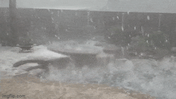 Acid GIFs, February 12 (25 gifs) Acid GIFs, February 12 (25 gifs)