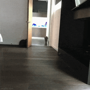 Acid GIFs, February 12 (25 gifs) Acid GIFs, February 12 (25 gifs)