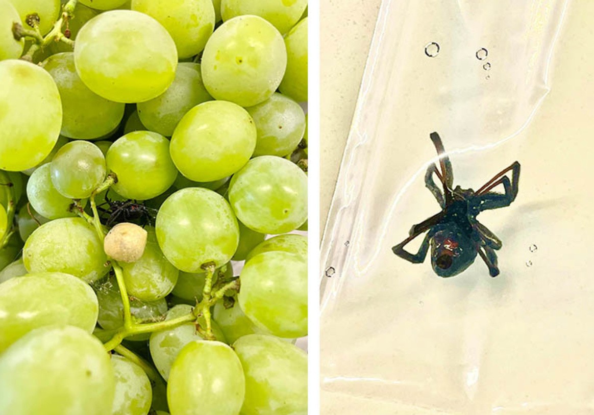 Unfortunate Situations (18 pics) Unfortunate Situations (18 pics)