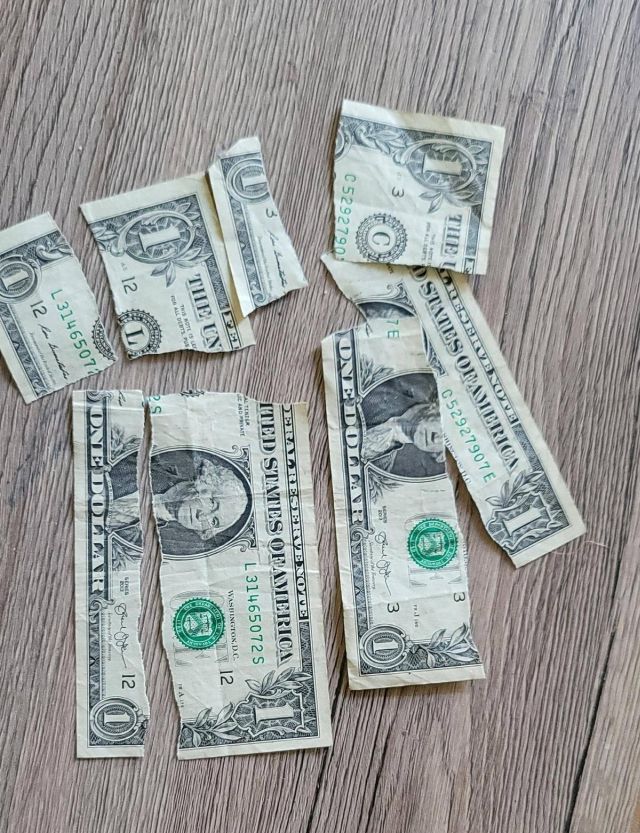 Bad Days Happen (27 pics) Bad Days Happen (27 pics)