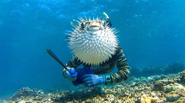 Daily Pictures. Part 1 (63 pics) Daily Pictures. Part 1 (63 pics)