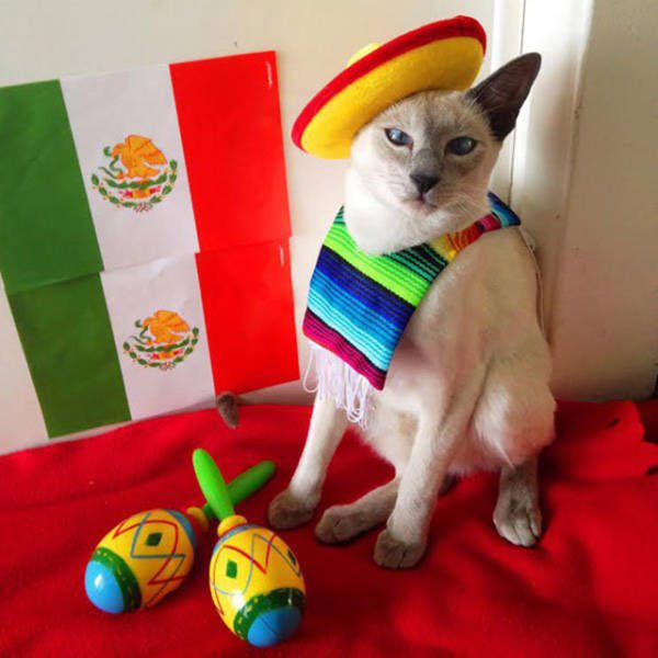 Daily Pictures. Part 1 (63 pics) Daily Pictures. Part 1 (63 pics)