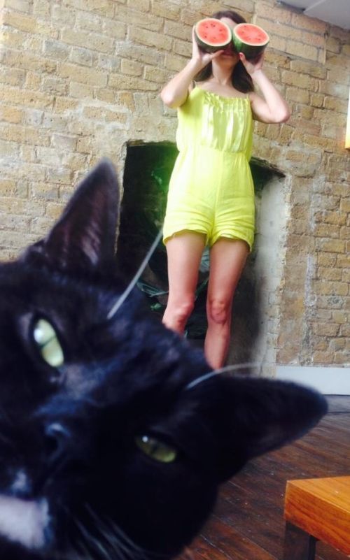 Daily Pictures. Part 1 (63 pics) Daily Pictures. Part 1 (63 pics)